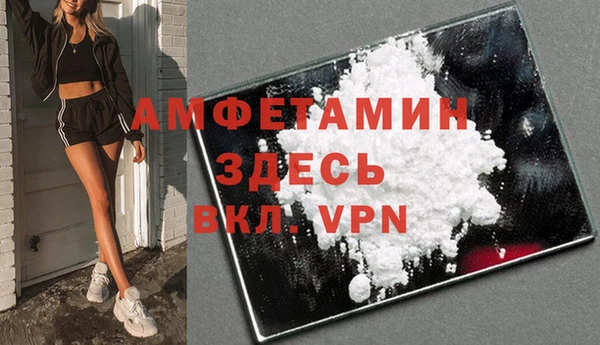 PSILOCYBIN Алзамай