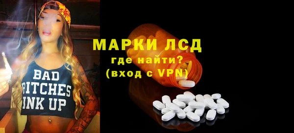 PSILOCYBIN Алзамай