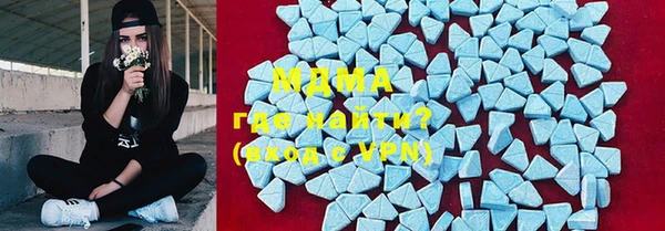 PSILOCYBIN Алзамай