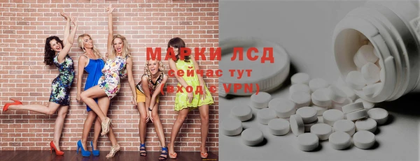 PSILOCYBIN Алзамай