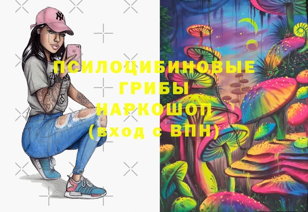 PSILOCYBIN Алзамай