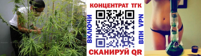 OMG ссылки  Петров Вал  Дистиллят ТГК концентрат 