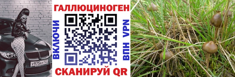 Галлюциногенные грибы ЛСД Петров Вал